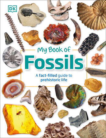 My Book of Fossils by DK and Dean R. Lomax