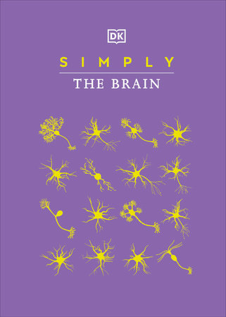 Simply The Brain by DK