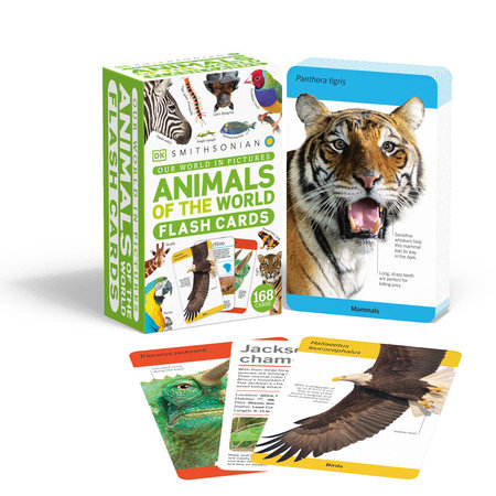Our World in Pictures Animals of the World Flash Cards by DK
