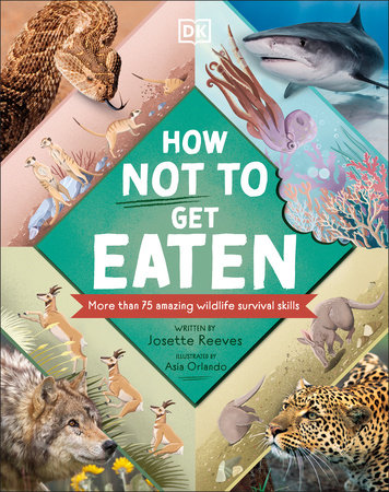 How Not to Get Eaten by Josette Reeves