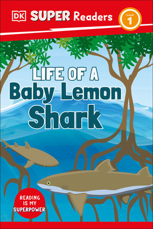 DK Super Readers Level 1 Life of a Baby Lemon Shark by DK