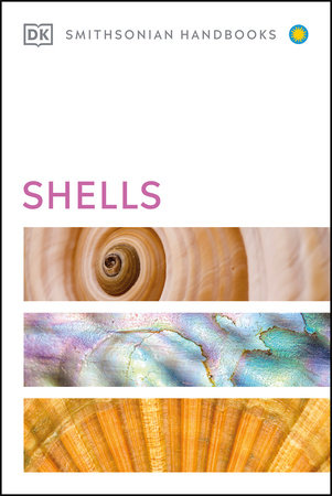Shells by DK