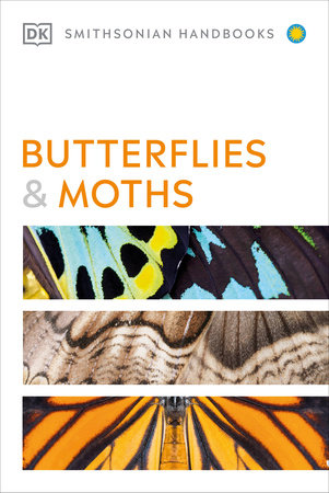 Handbook of Butterflies and Moths by David Carter