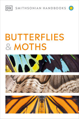 Butterflies and Moths by David Carter