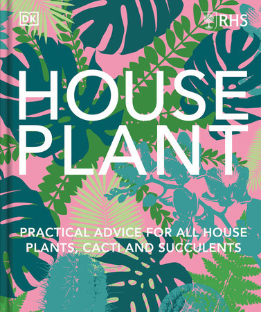Houseplant by DK