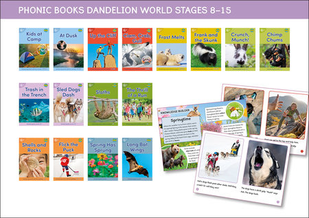 Phonic Books Dandelion World Stages 8-15 (Words with Four Sounds CVCC)