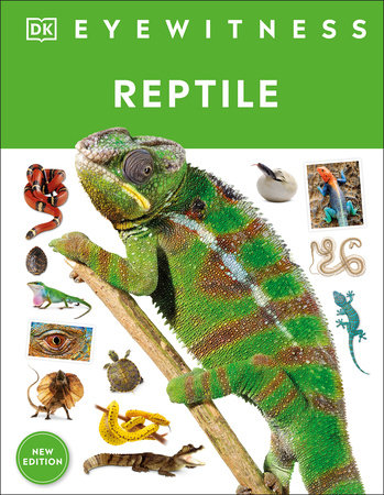 Eyewitness Reptile by Colin McCarthy