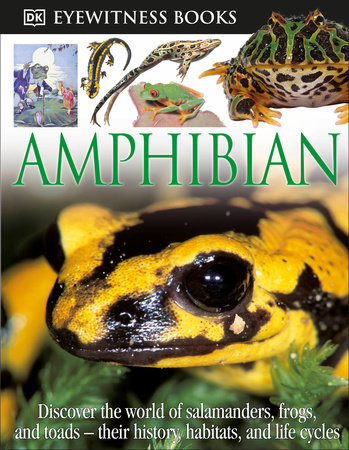 DK Eyewitness Books: Amphibian by Barry Clarke