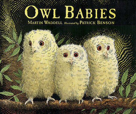 Owl Babies by Martin Waddell