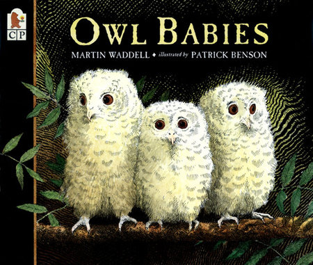 Owl Babies by Martin Waddell