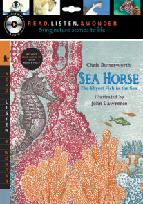 Sea Horse with Audio, Peggable