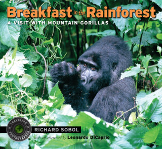 Breakfast in the Rainforest