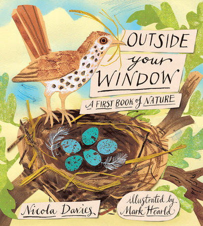 Outside Your Window by Nicola Davies