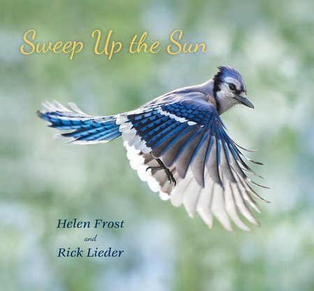 Sweep Up the Sun by Helen Frost