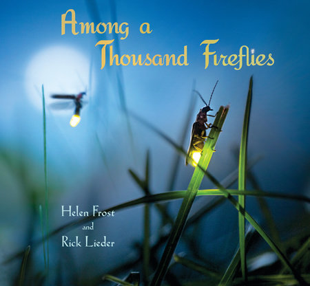 Among a Thousand Fireflies by Helen Frost