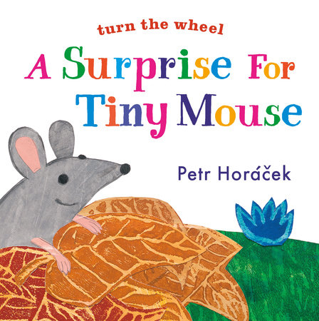A Surprise for Tiny Mouse by Petr Horacek