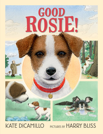 Good Rosie! by Kate DiCamillo