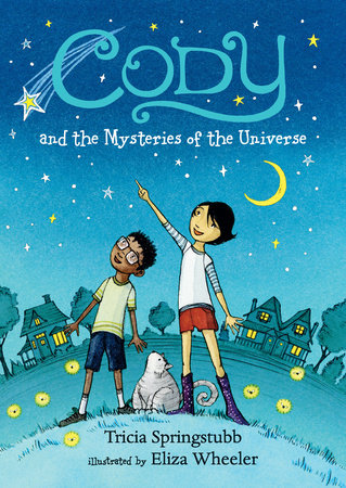 Cody and the Mysteries of the Universe by Tricia Springstubb