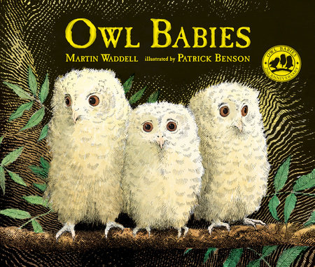 Owl Babies by Martin Waddell