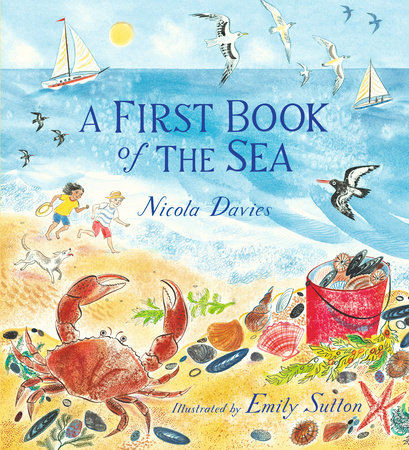A First Book of the Sea by Nicola Davies
