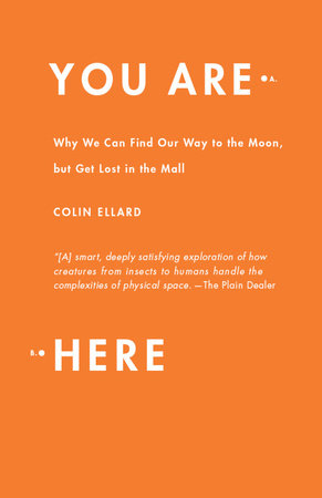 You Are Here by Colin Ellard