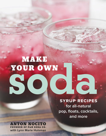 Make Your Own Soda by Anton Nocito and Lynn Marie Hulsman