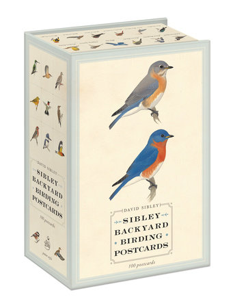 Sibley Backyard Birding Postcards By David Sibley David Allen