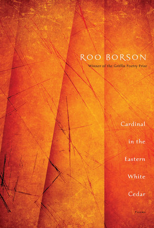 Cardinal in the Eastern White Cedar by Roo Borson