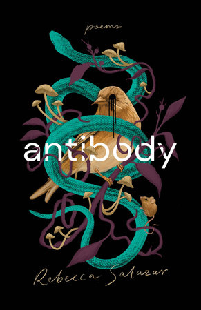 antibody by Rebecca Salazar