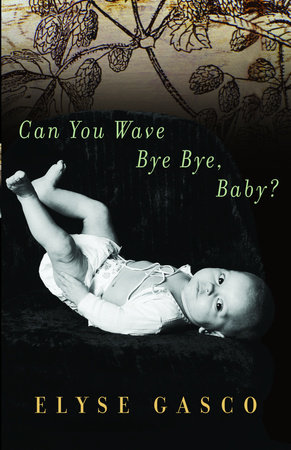 Can You Wave Bye Bye, Baby? by Elyse Gasco