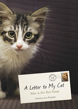 A Letter to My Cat by Lisa Erspamer