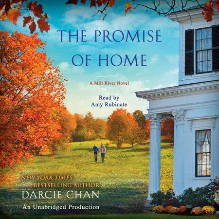 The Promise of Home by Darcie Chan