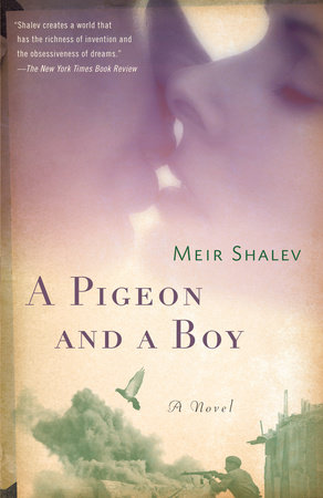 A Pigeon and a Boy by Meir Shalev