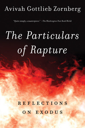 The Particulars Of Rapture By Avivah Gottlieb Zornberg Penguinrandomhousecom Books - 