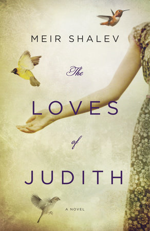 The Loves of Judith by Meir Shalev