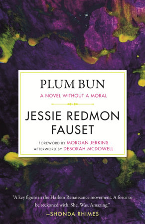 Plum Bun by Jessie Redmon Fauset