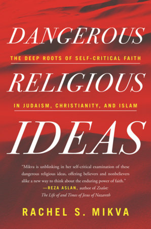Dangerous Religious Ideas by Rachel S. Mikva