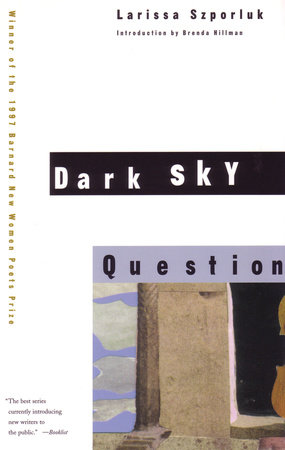 Dark Sky Question by Larissa Szporluk