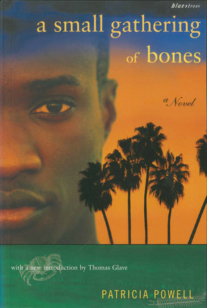 A Small Gathering of Bones by Patricia Powell