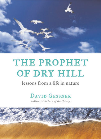 The Prophet of Dry Hill by David Gessner
