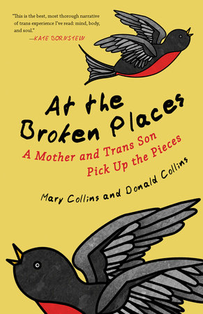 At the Broken Places by Mary Collins and Donald Collins