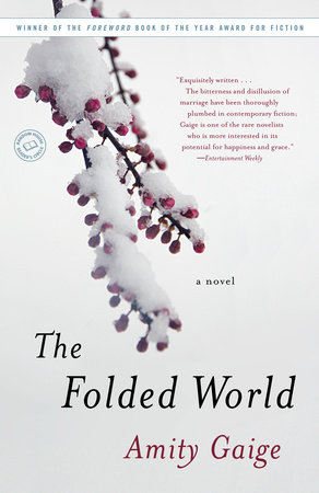 The Folded World by Amity Gaige