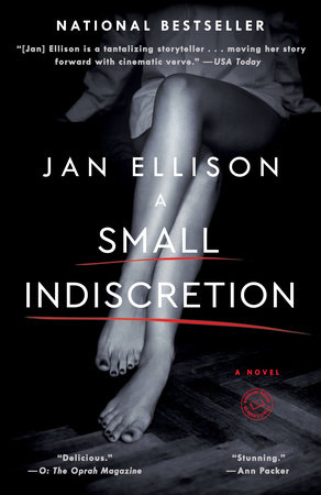 A Small Indiscretion by Jan Ellison