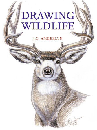 Drawing Wildlife by J.C. Amberlyn