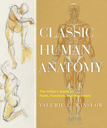 Classic Human Anatomy by Valerie L. Winslow