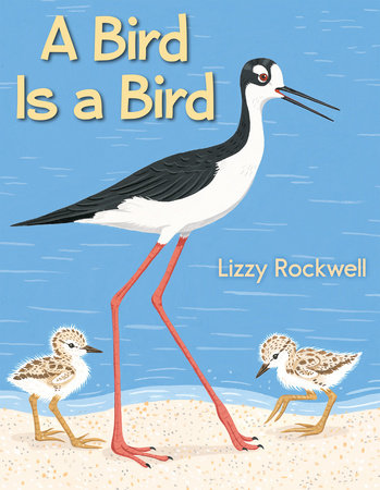 A Bird Is a Bird by Lizzy Rockwell