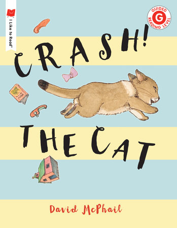 Crash! The Cat by David McPhail