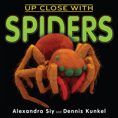 Up Close With Spiders by Alexandra Siy