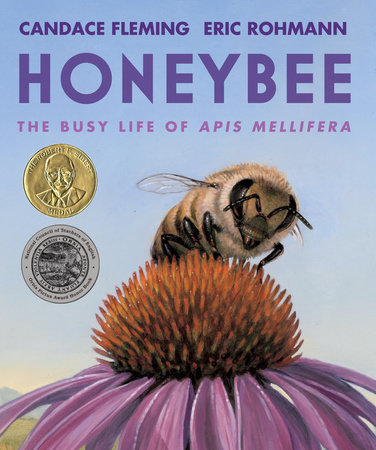 Honeybee by Candace Fleming