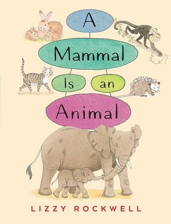 A Mammal is an Animal by Lizzy Rockwell